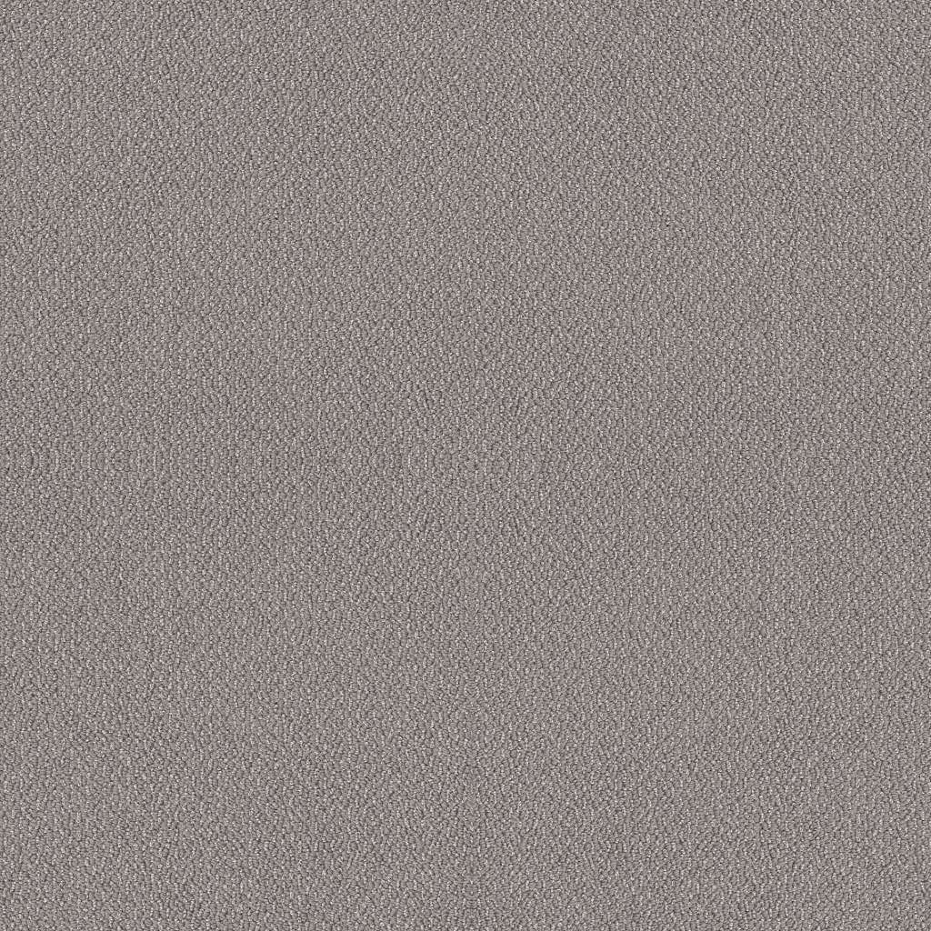 Shaw Floors Embellished Cathedral SHAW