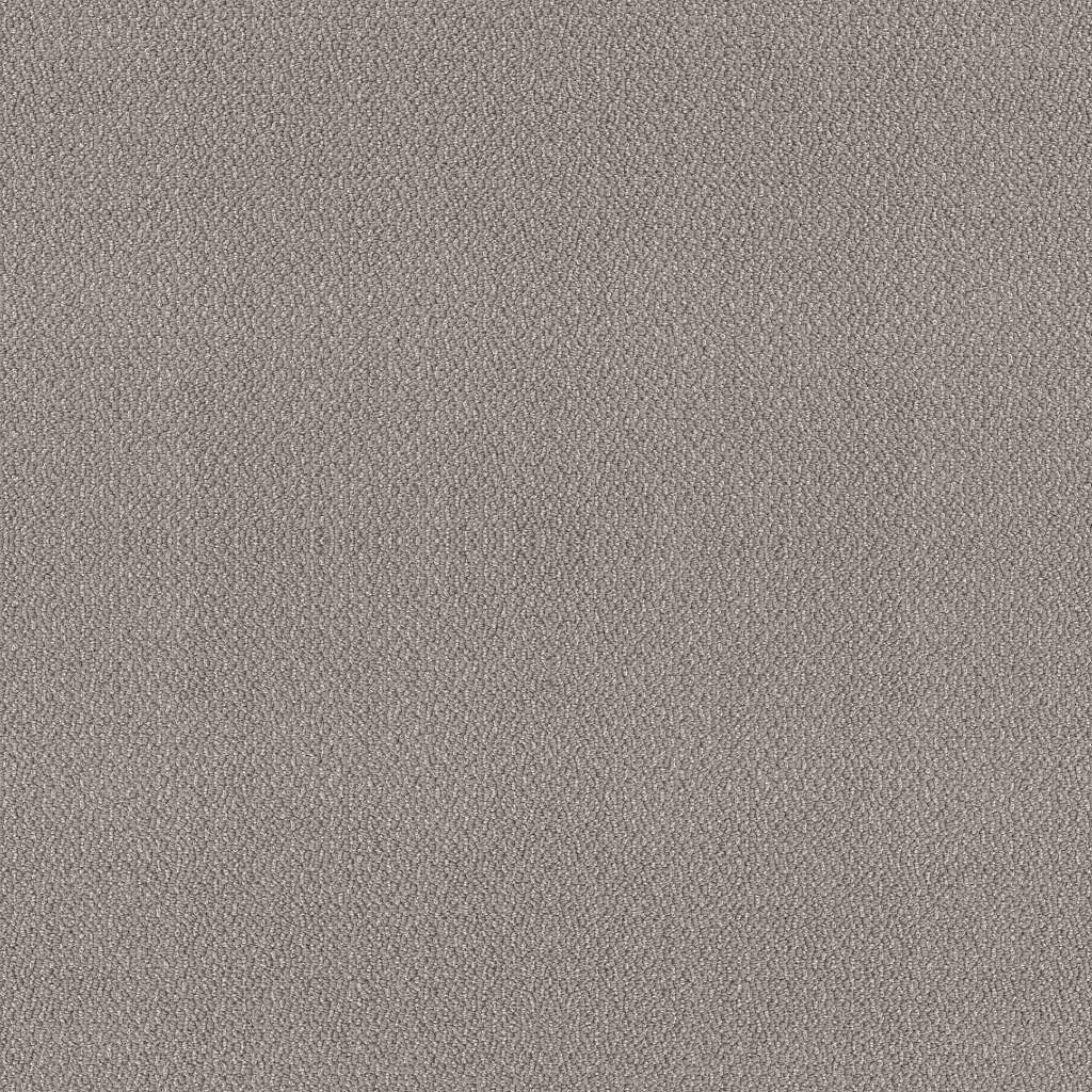 Shaw Floors Embellished Asteroid SHAW