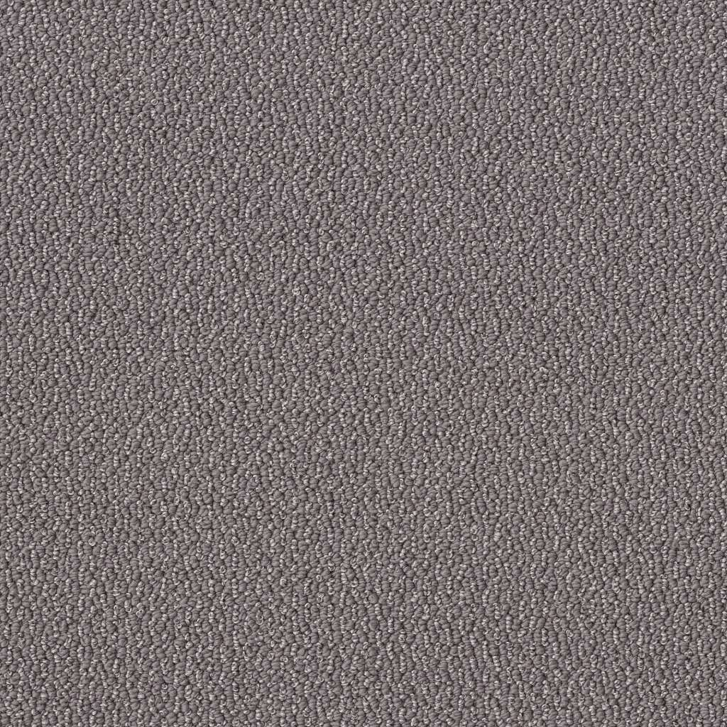 Shaw Floors Embellished Dolphin SHAW