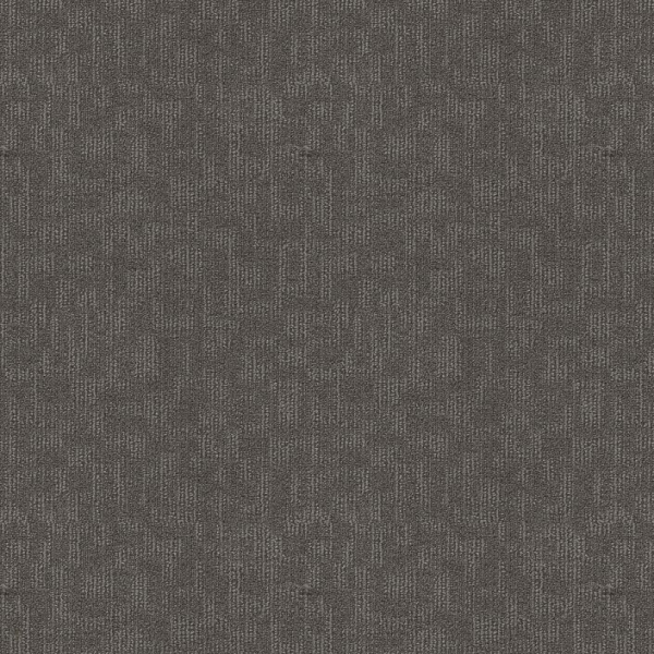 Philadelphia Commercial Forge Concept Shaw