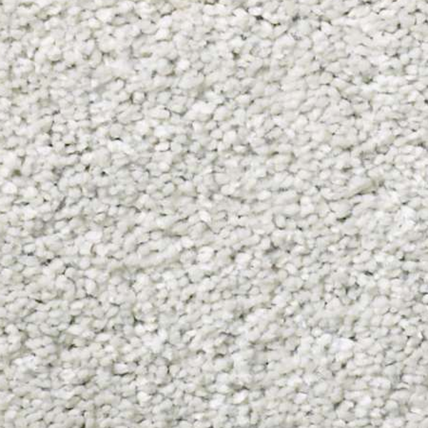 Shaw Floors After All I Dolphin SHAW