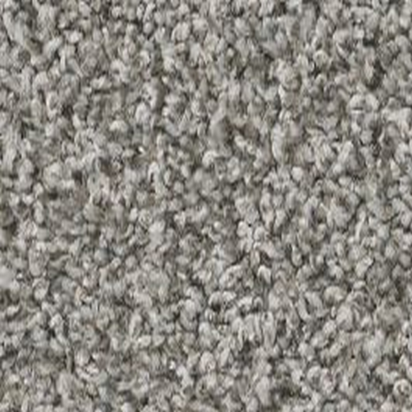 Shaw Floors Shake It Up (T) 13 Dolphin SHAW