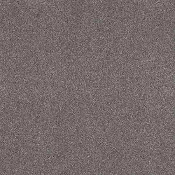 Tuftex Cozy Harbor I Well Traveled SHAW