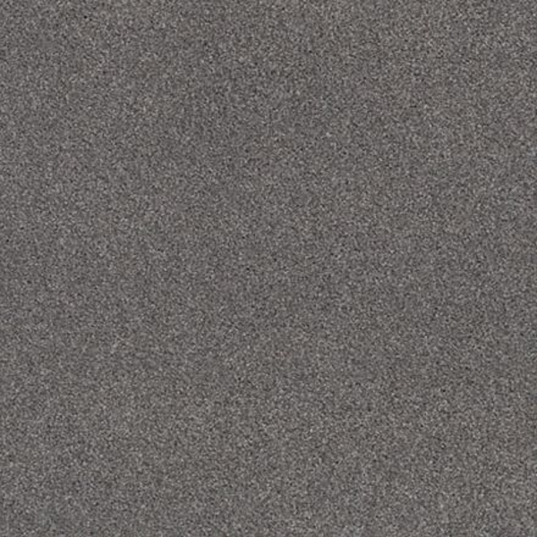 Tuftex Cozy Harbor II Well Traveled SHAW