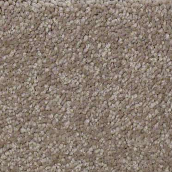 Shaw Floors Sandy Hollow Classic I Wood Smoke SHAW