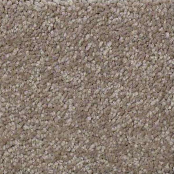 Shaw Floors Sandy Hollow Classic III Wood Smoke SHAW