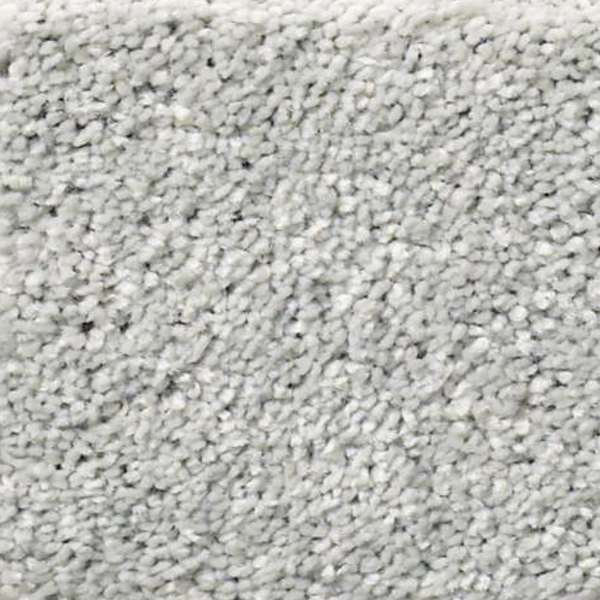 Shaw Floors After All I Anchor SHAW