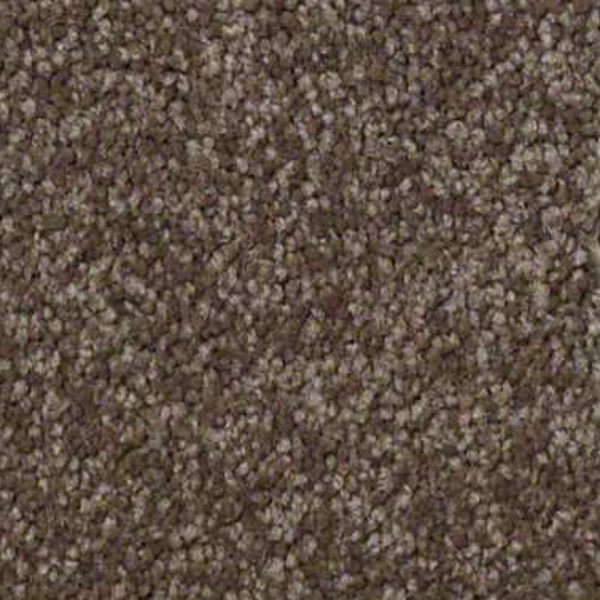 Shaw Floors Sandy Hollow Classic III Castle Rock SHAW