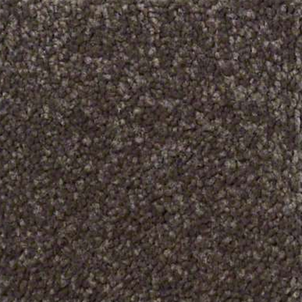 Shaw Floors Sandy Hollow Classic III Arrowhead SHAW