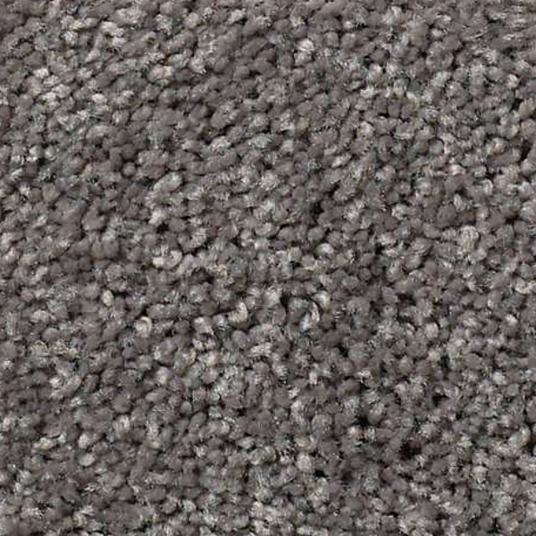 Shaw Floors Cabana Life S Tree Bark SHAW