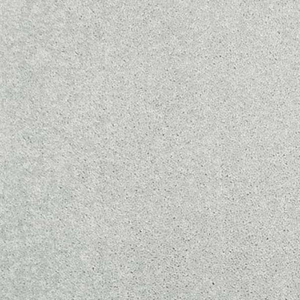 Shaw Floors Dalton 30 15' Morning Fog SHAW