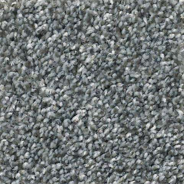 Shaw Floors Cabana Life Tweed Mountain Path SHAW