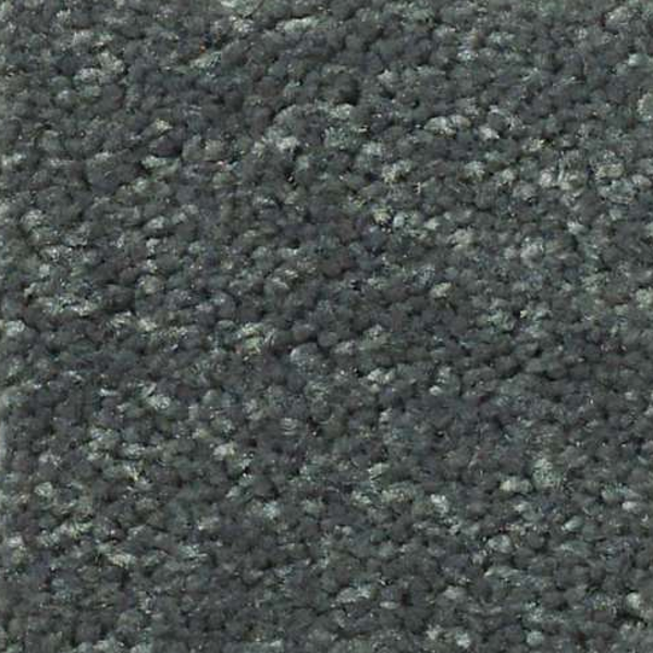 Shaw Floors Dyersburg Classic 15' Steel Beam SHAW