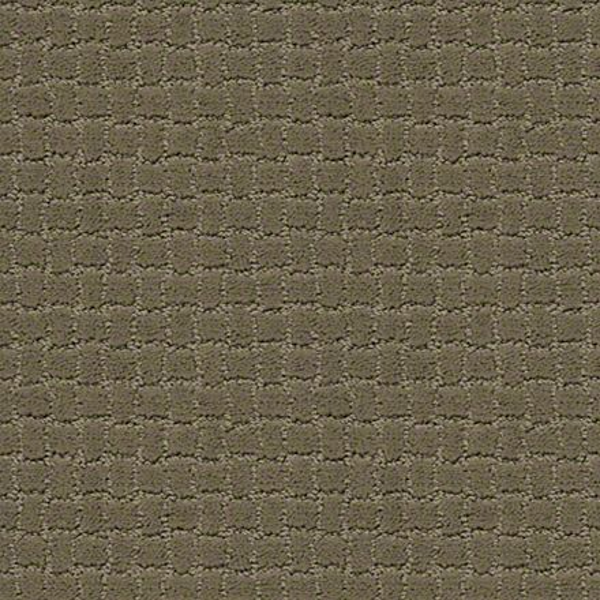 Tuftex Pawstruck Dry Sage SHAW