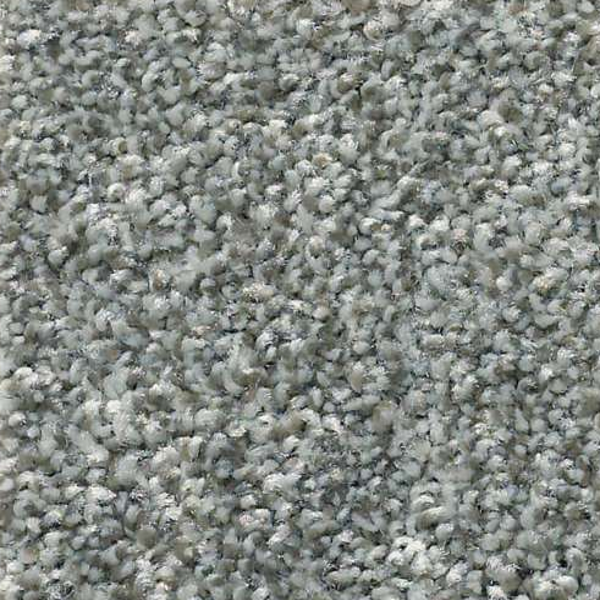 Shaw Floors Cabana Life Tweed Shadow SHAW