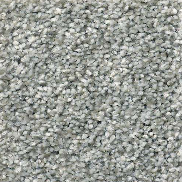 Shaw Floors Cabana Life Tweed Stainless SHAW