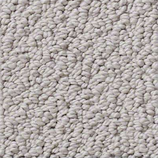 Shaw Floors Truly Relaxed Loop Ash SHAW