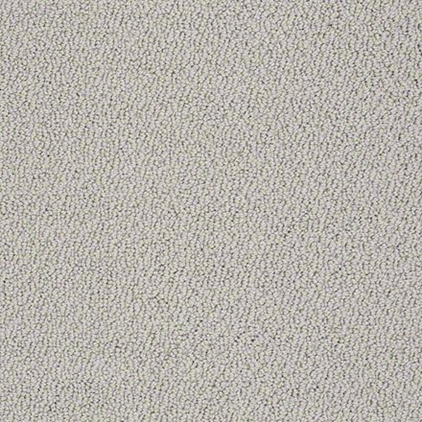 Shaw Floors Timeless Charm Loop Ash SHAW