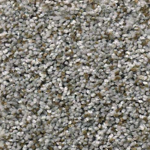 Shaw Floors Cabana Life Berber Granite SHAW