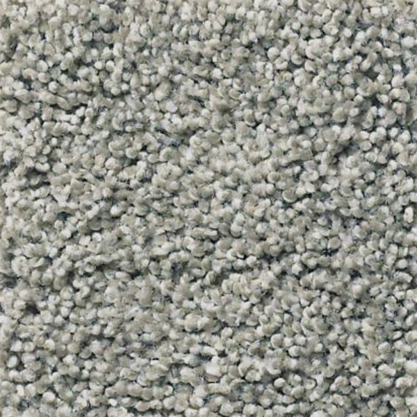 Tuftex Acadia Park Drift SHAW