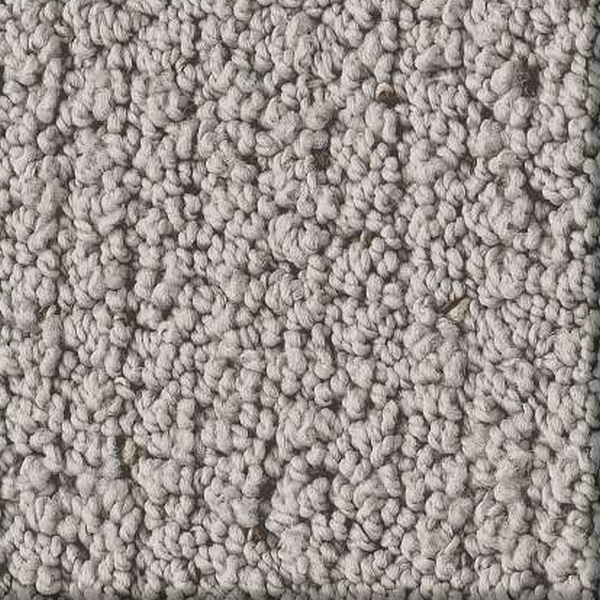 Shaw Floors Intricate Trace Gravity SHAW