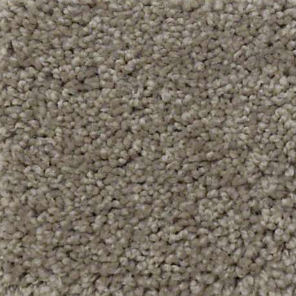 Shaw Floors Origins II Elephant SHAW