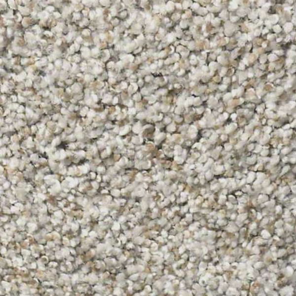 Shaw Floors Make It Work Trade Wind SHAW