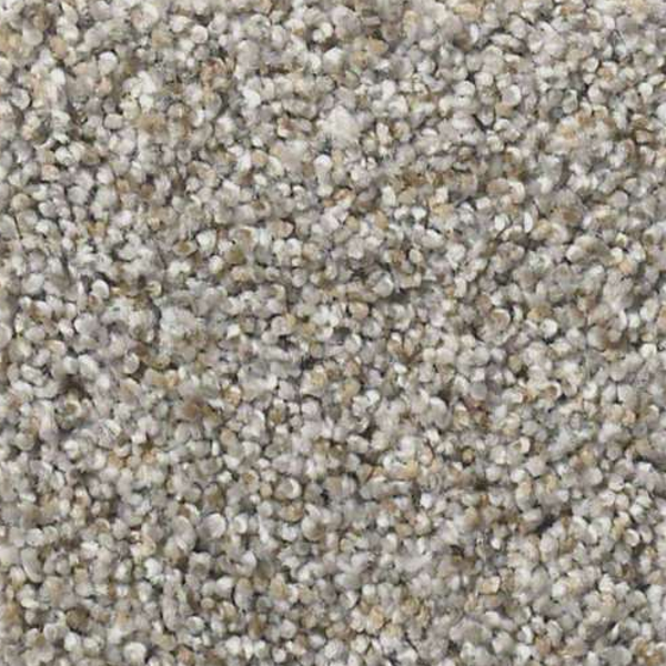 Shaw Floors Make It Work Chat Room SHAW