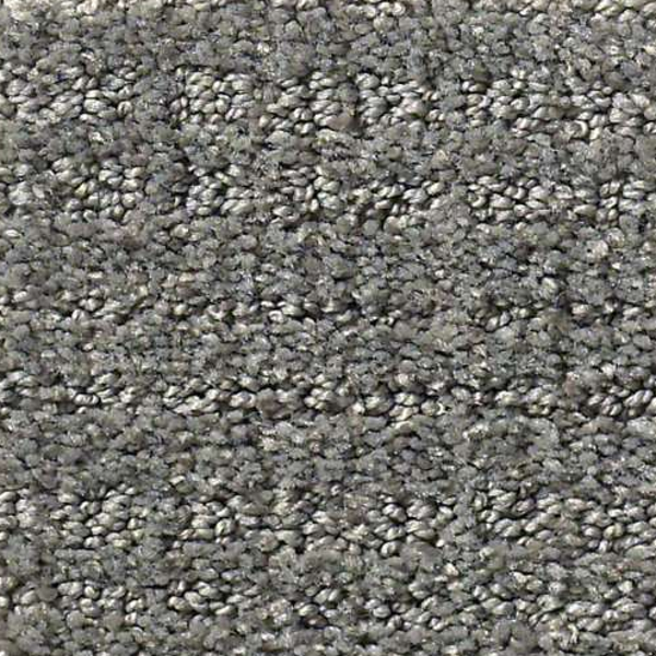 Shaw Floors Sensible Now Metal SHAW