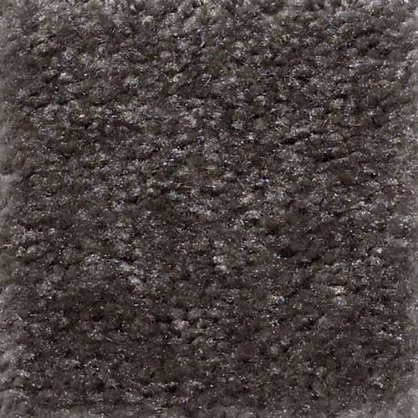 Shaw Floors Zipp Salinas SHAW