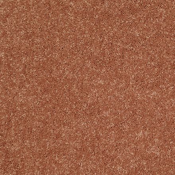 Shaw Floors Dalton 30 12' Sun Burst SHAW
