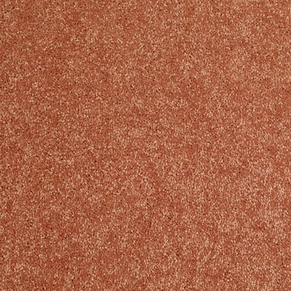 Shaw Floors Dalton 40 12 Sunburst SHAW