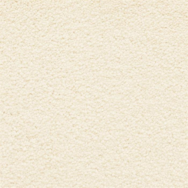 Masland Carpets Ravishing Dazzling Masland