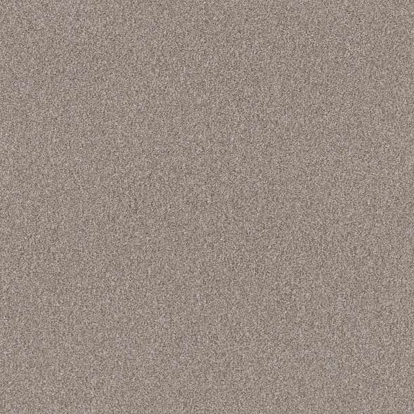 Shaw Floors Influencer Baltic Stone SHAW