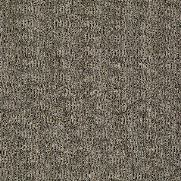 Philadelphia Commercial Restyle Develope Shaw