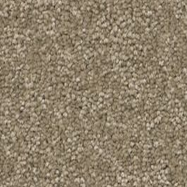 Shaw Floors Way To Go I Hidden Treasure SHAW