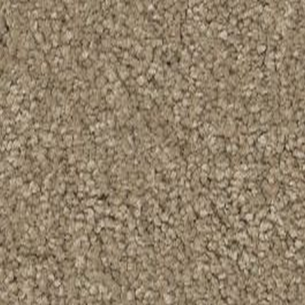 Shaw Floors Way To Go II Hidden Treasure SHAW