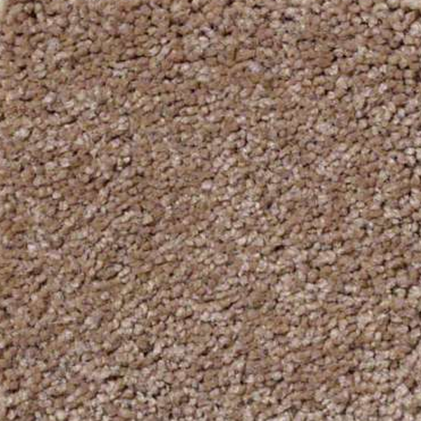 Shaw Floors Sandy Hollow Classic III Muffin SHAW