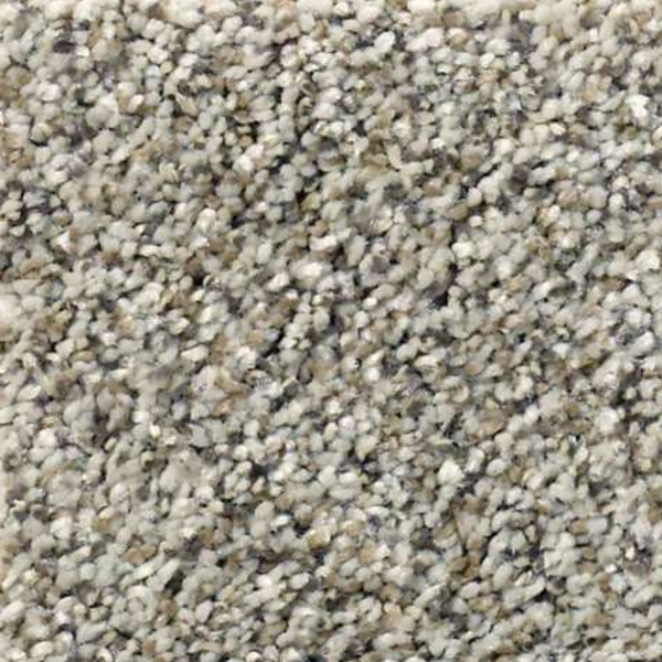 Shaw Floors All Set I Silversmith SHAW