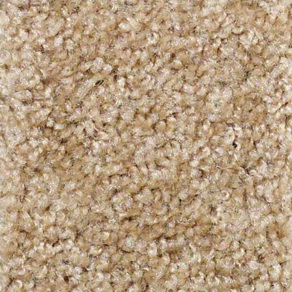 Shaw Floors Keep It Real Thornwood SHAW