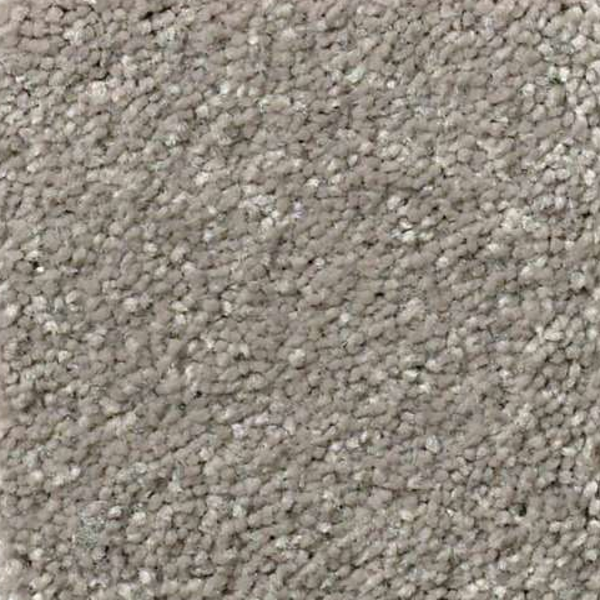 Shaw Floors Solidify II 12 Tree Bark SHAW