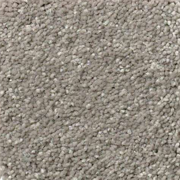 Shaw Floors Solidify I 12 Tree Bark SHAW