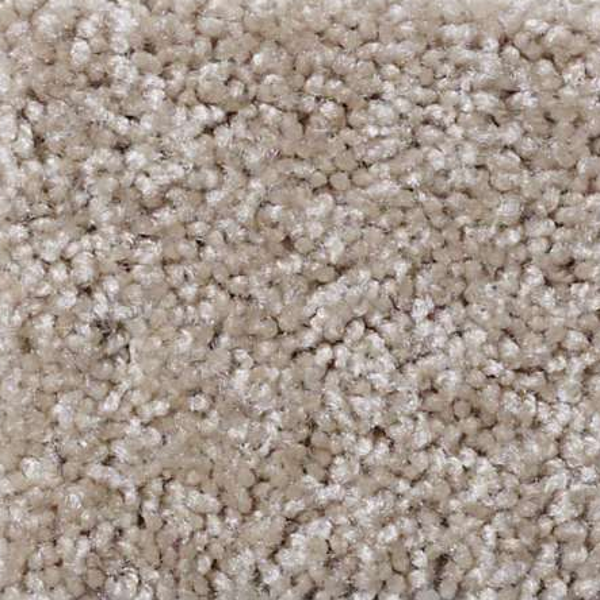 Shaw Floors Make It Yours (S) Wood Bridge SHAW