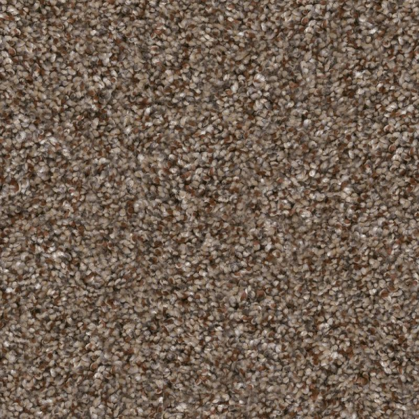 Shaw Floors Yes You Can II 12' Worn Path SHAW