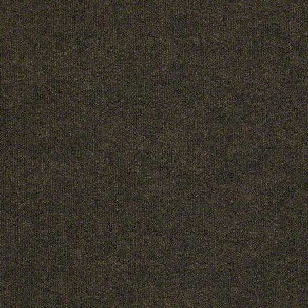 Philadelphia Commercial Backdrop I 12' Bracken Shaw