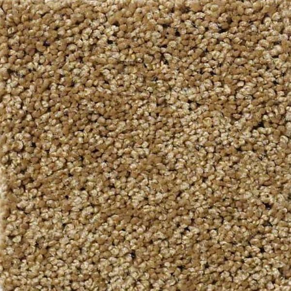 Shaw Floors Enduring Comfort III Country Wheat SHAW