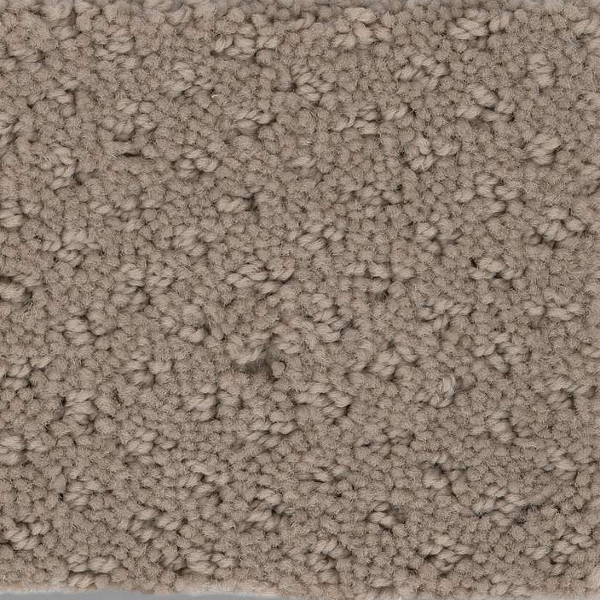 Shaw Floors Mainstay Desert View SHAW