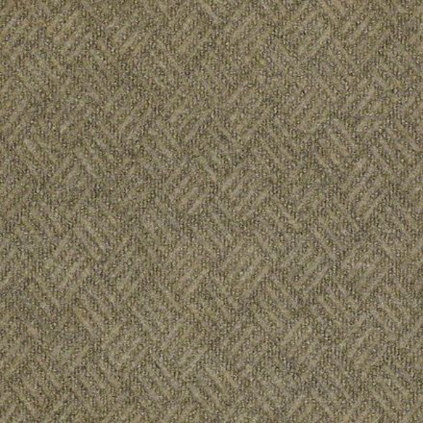 Philadelphia Commercial Dreamweaver Dragonfly Shaw