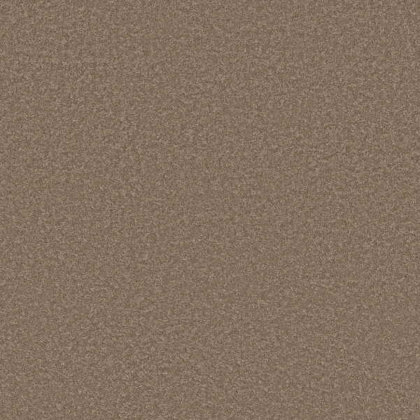 Shaw Floors Velvet Touch II Timberlake SHAW