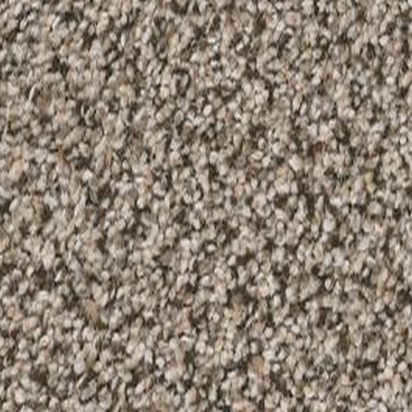 Shaw Floors True Spirit 13 Truffle SHAW